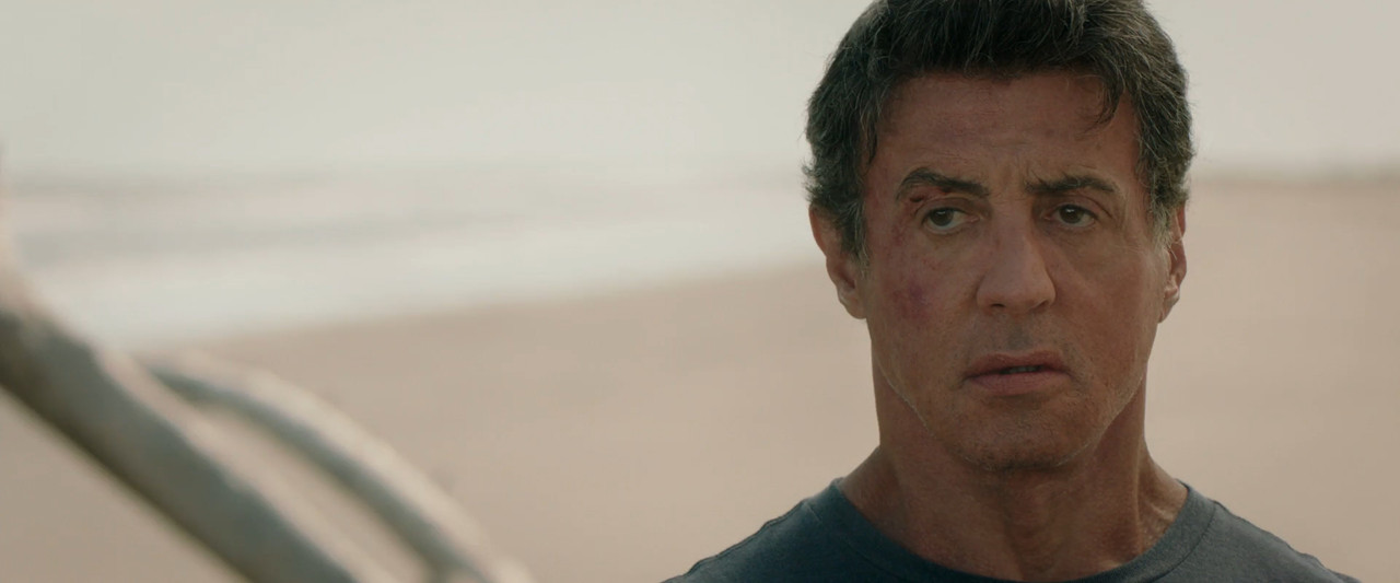 Escape Plan 2013 BluRay [Hindi + Tamil + Telugu + English] 480p 720p 1080p ESub Screenshot