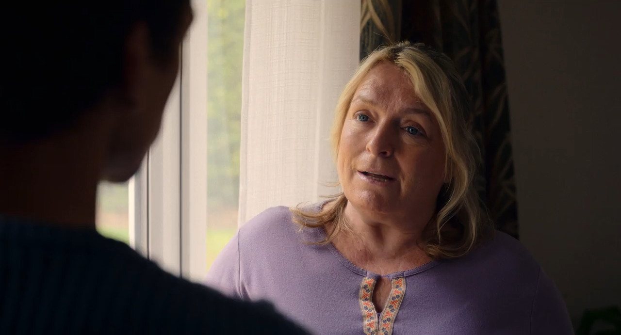The Witness 2026 WebRip Season 1 [Hindi + English] 480p 720p ESub Screenshot