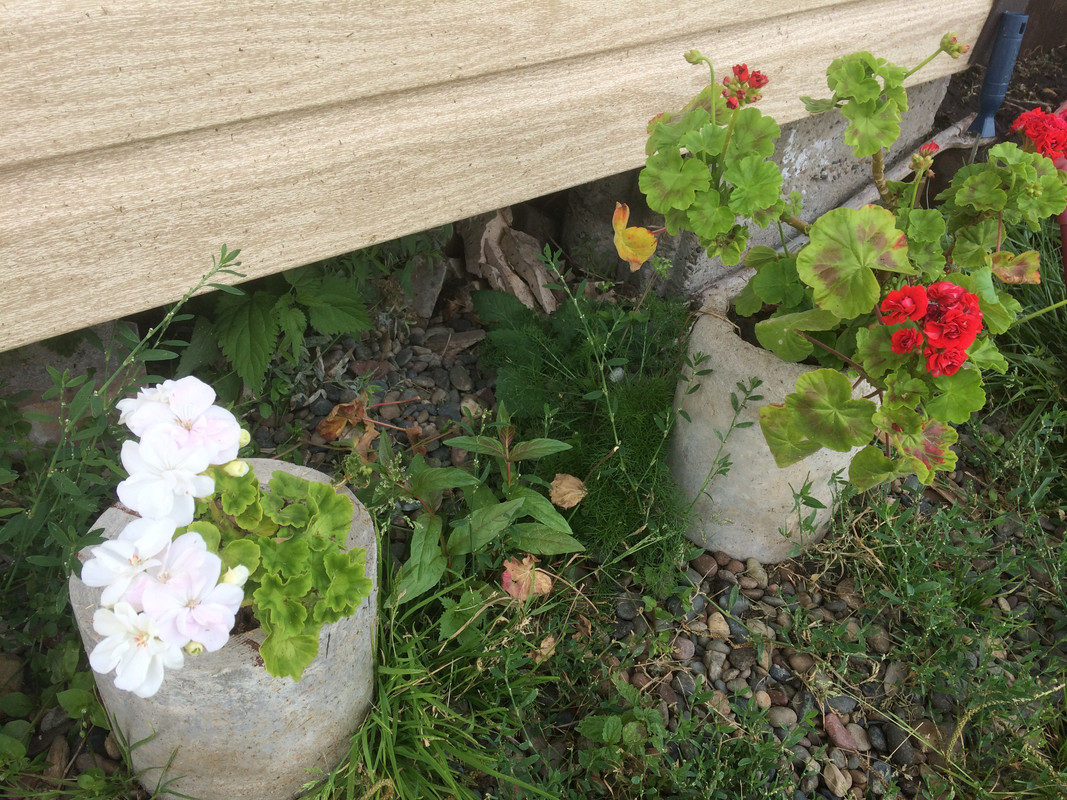 A5270D7C-B65B-4589-A49D-6BAF55590A91