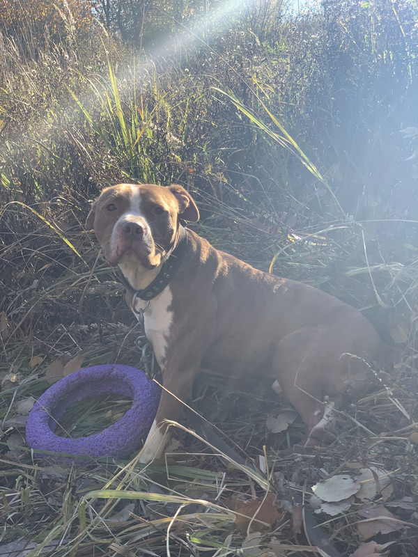 43D87677-7350-4955-83B5-5DFCD00DDFE6