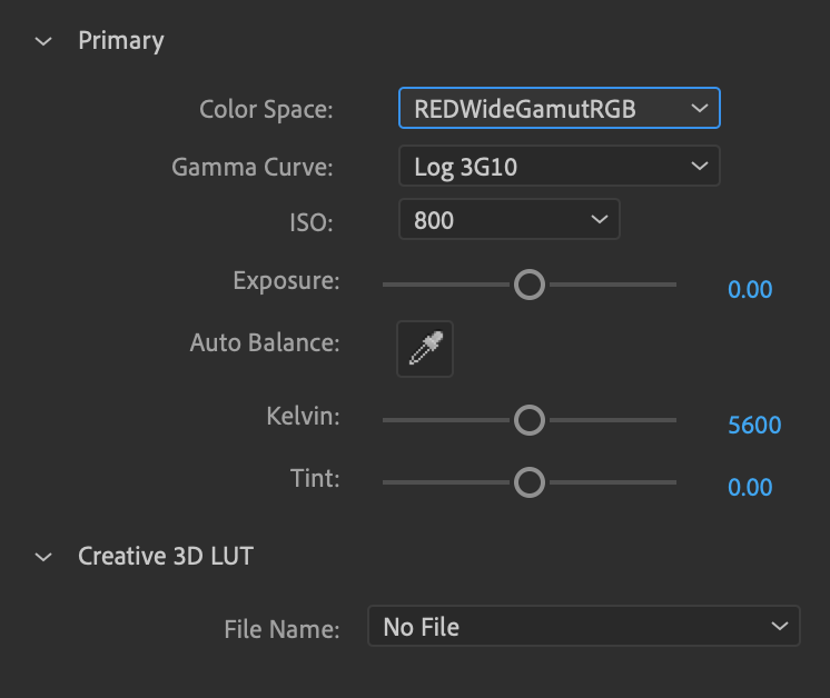 red-in-camera.png