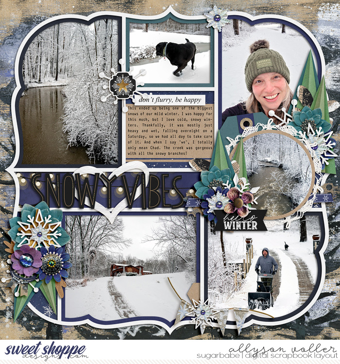allyanne-Anti-Snowcial-Palooza579-WM.jpg