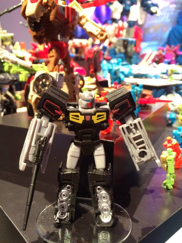 12717310_215989832084785_5822079113177268115_n