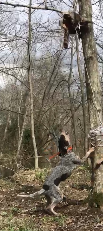 1A349DBC-C3A1-4B09-ABCD-EA29BE5E3DE7