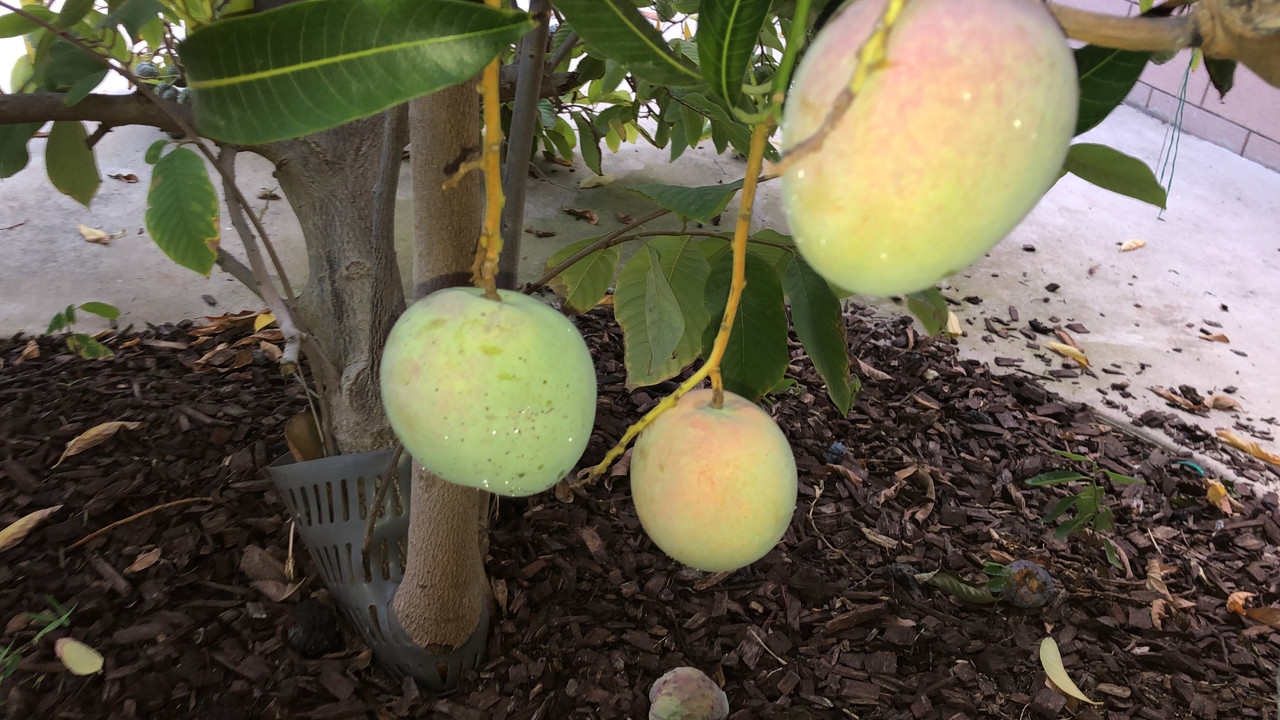 5825D34D-5A99-4338-B653-9B823169D69F