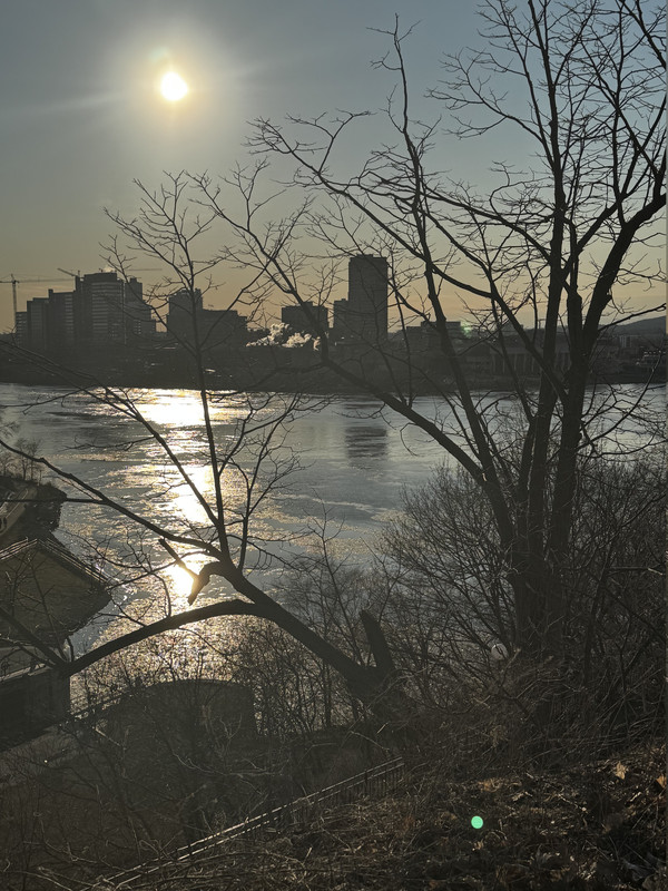 IMG 1052