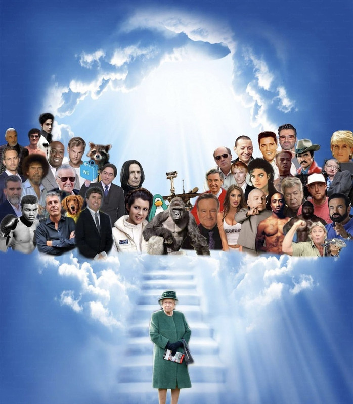 11603715-1848-47DA-8592-C0903D46E384