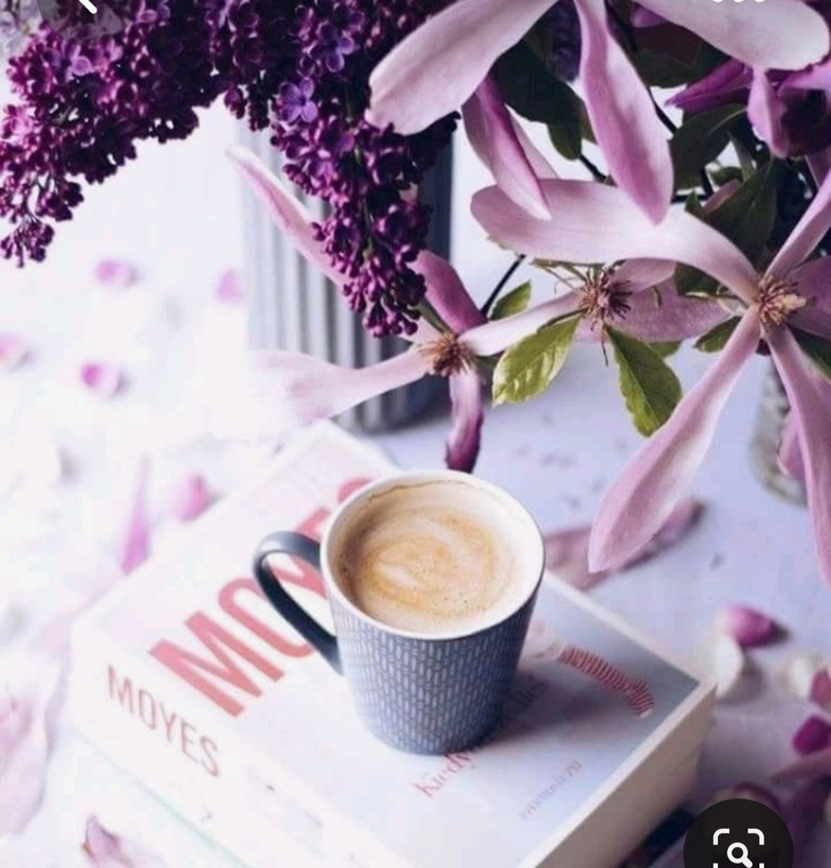 Screenshot_20230408_003121_Pinterest