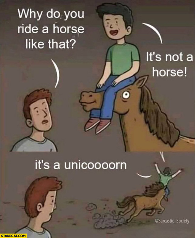 why-do-you-ride-a-horse-like-that-its-not-a-horse-its-a-unicorn.jpg