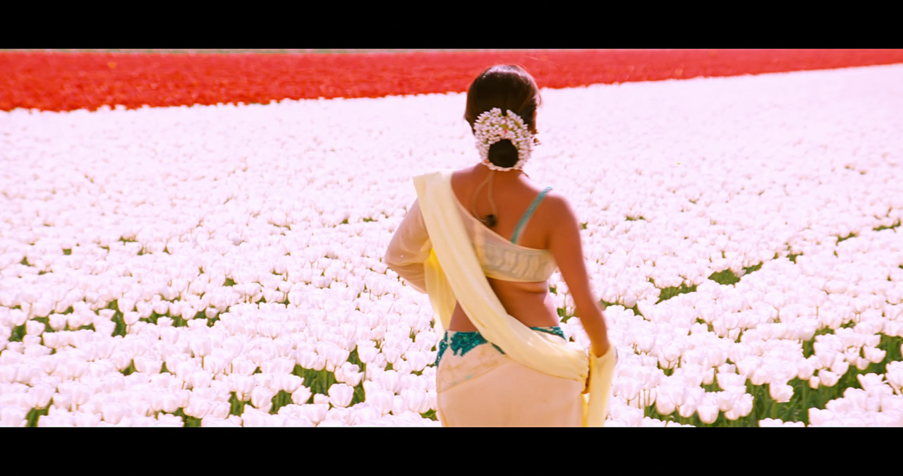 VideoCapture_20241122-195944