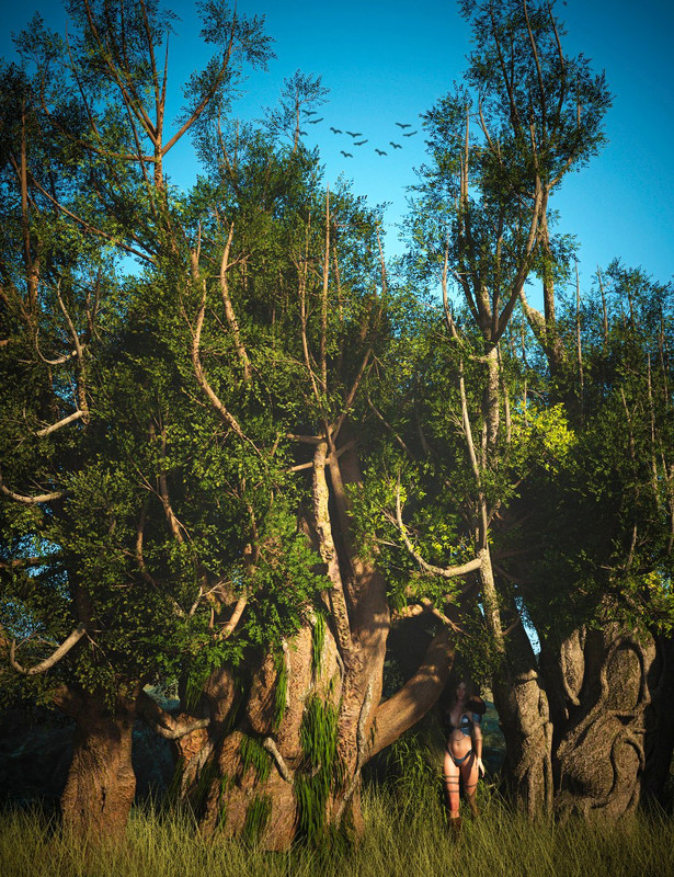 Nordic Trees Nordic Trees