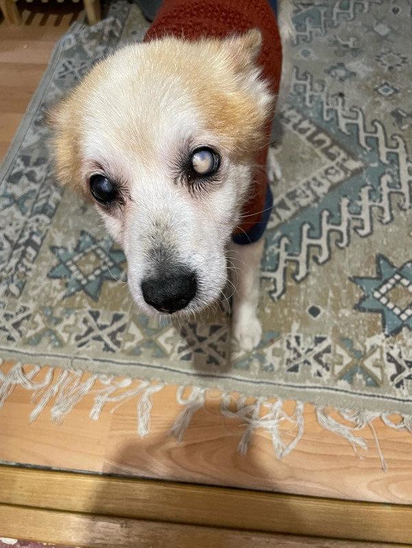 DCDFB304-72FE-4F1D-B90C-05CEF1AAE2AF