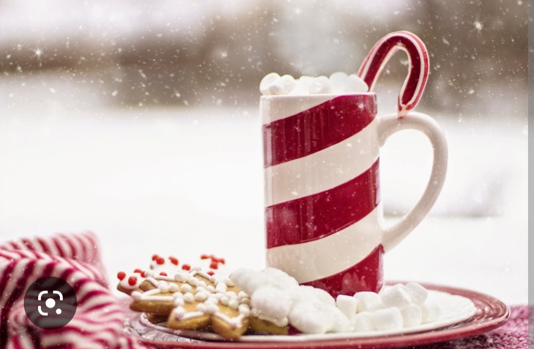 Screenshot_20221125-194233_Chrome