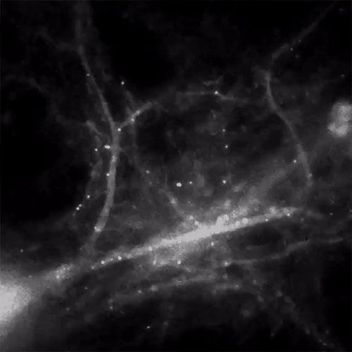 GIFs-23