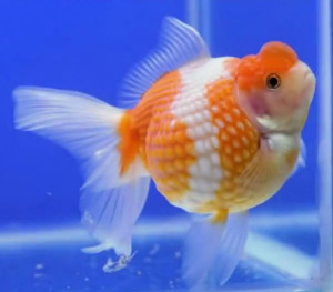 5D51F587-A389-479A-832C-95A985DF91F9