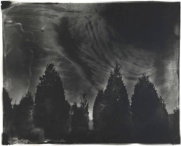 artwork-images-478-135385-sally-mann1