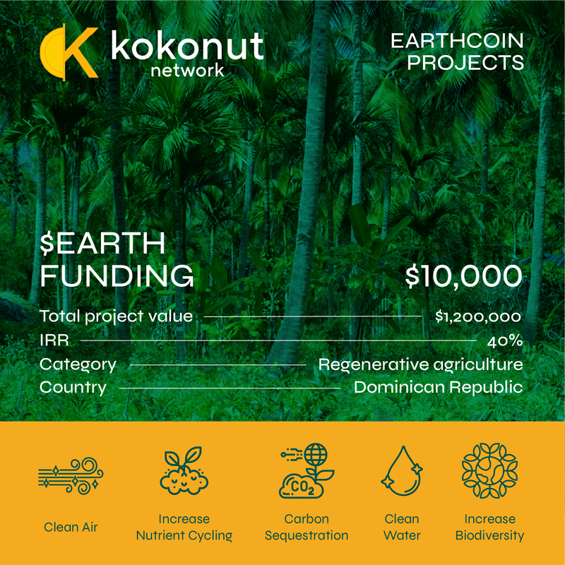 Kokonut-V1-Card0.png