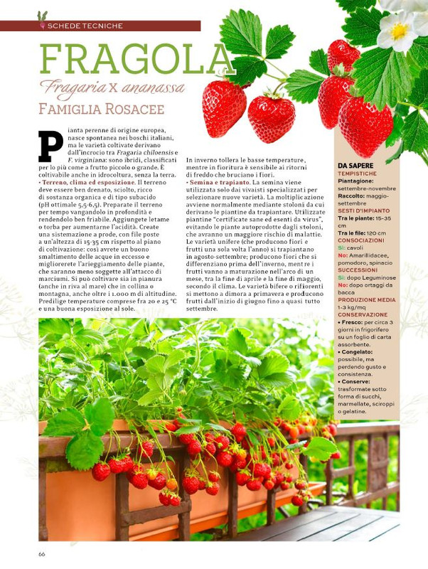 Orto Facile - Il Mio Orto Pratico - Feb-Mar 2024 (9)