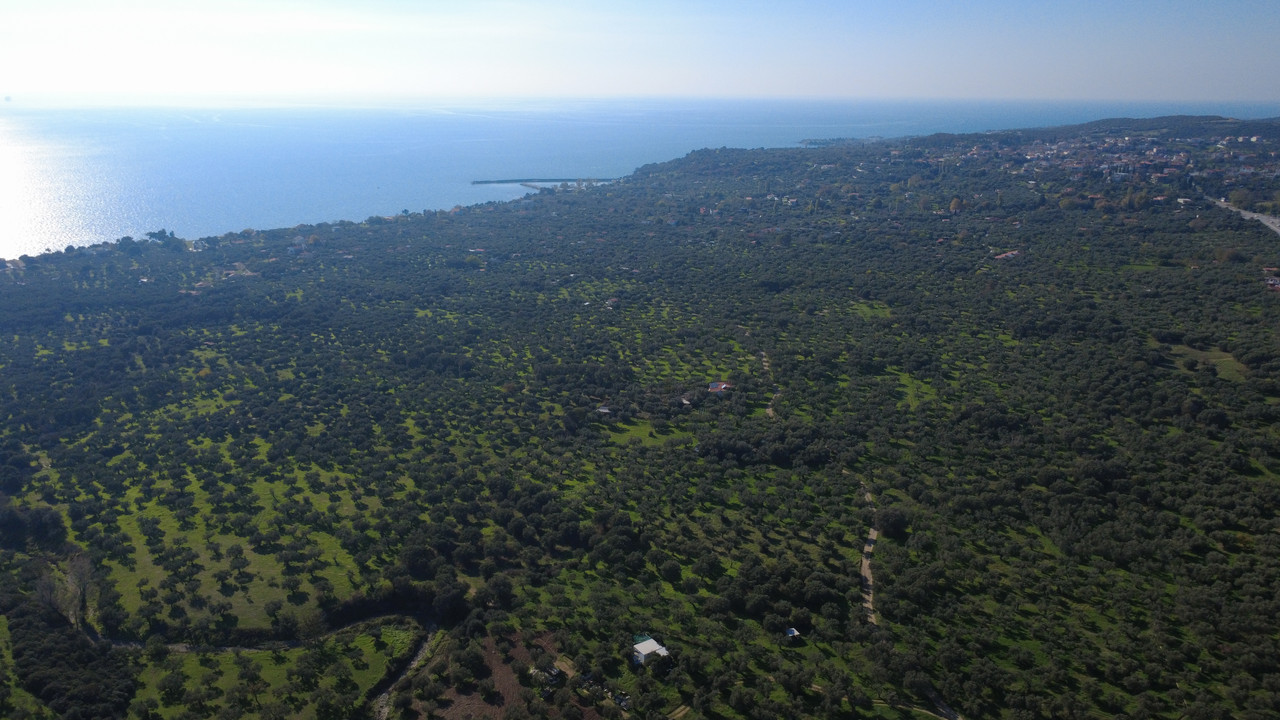 DJI 0170