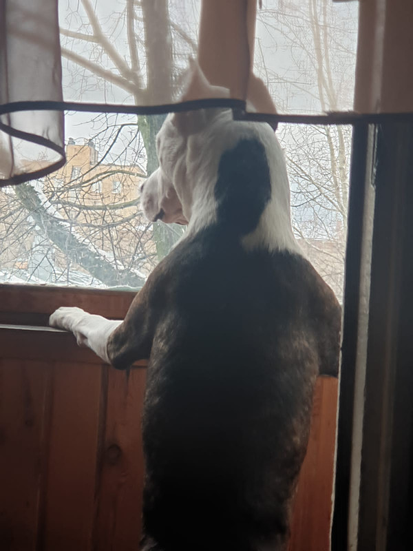 377B4F39-2054-4023-A481-E2F35E3F21D4