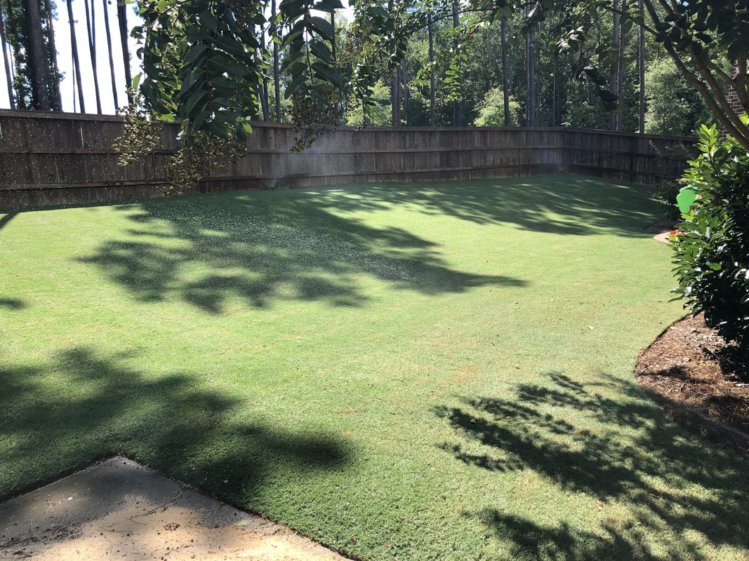 223E2A37-29F5-4D5A-946B-5C5327FE59F8