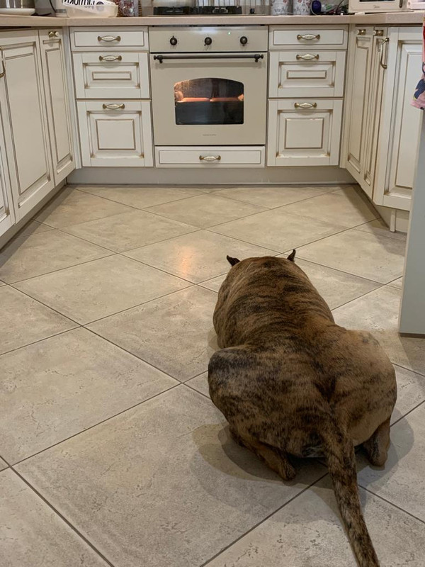 988B3469-71B7-4902-88E6-D4BBFEE5040A