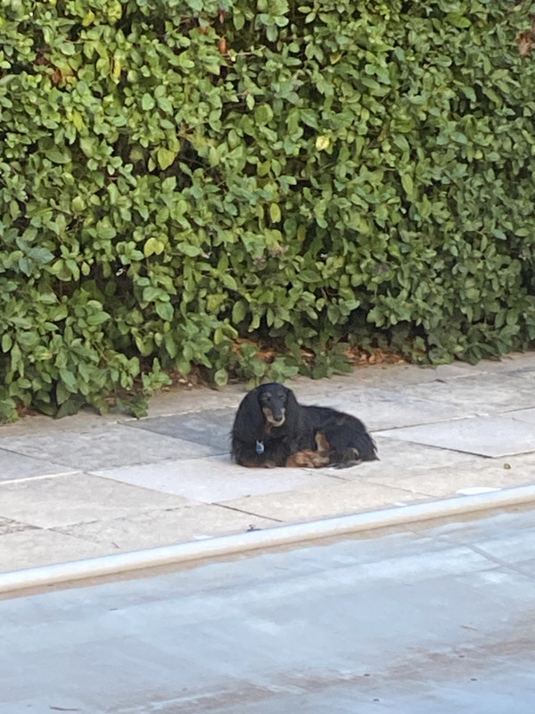 [Image: IMG-5765.jpg]