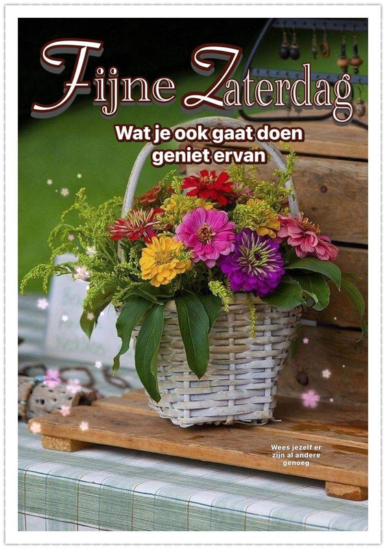 2d3797076450fbe964c5e327feebec49