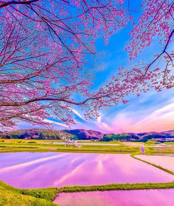 Screenshot_20240420_215100_Threads