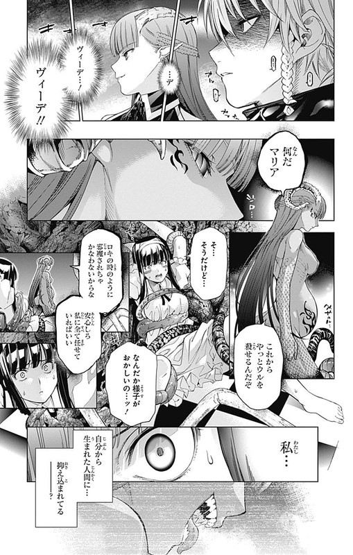 7th GardenVol8-1