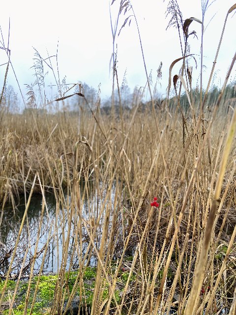 010-AA073-C215-42-B1-A7-B3-8-BE9-F5-B30-