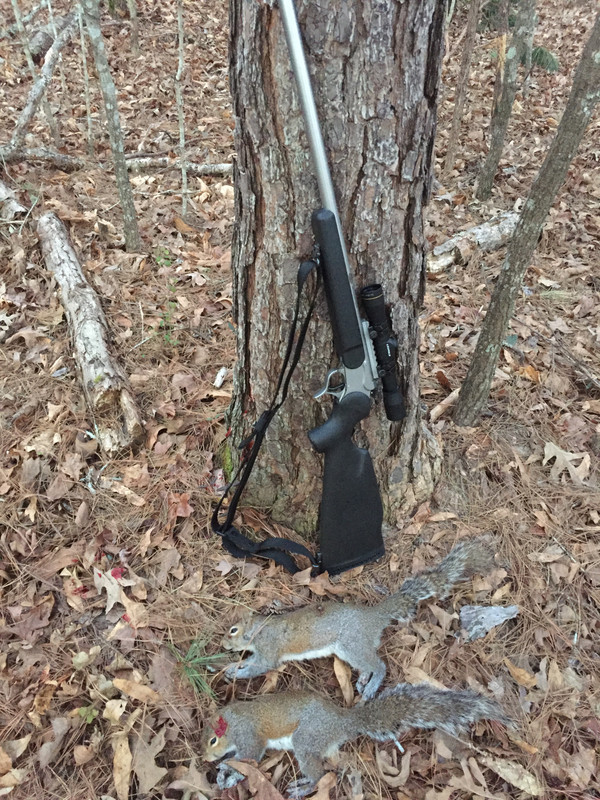 Squirrel 02152022