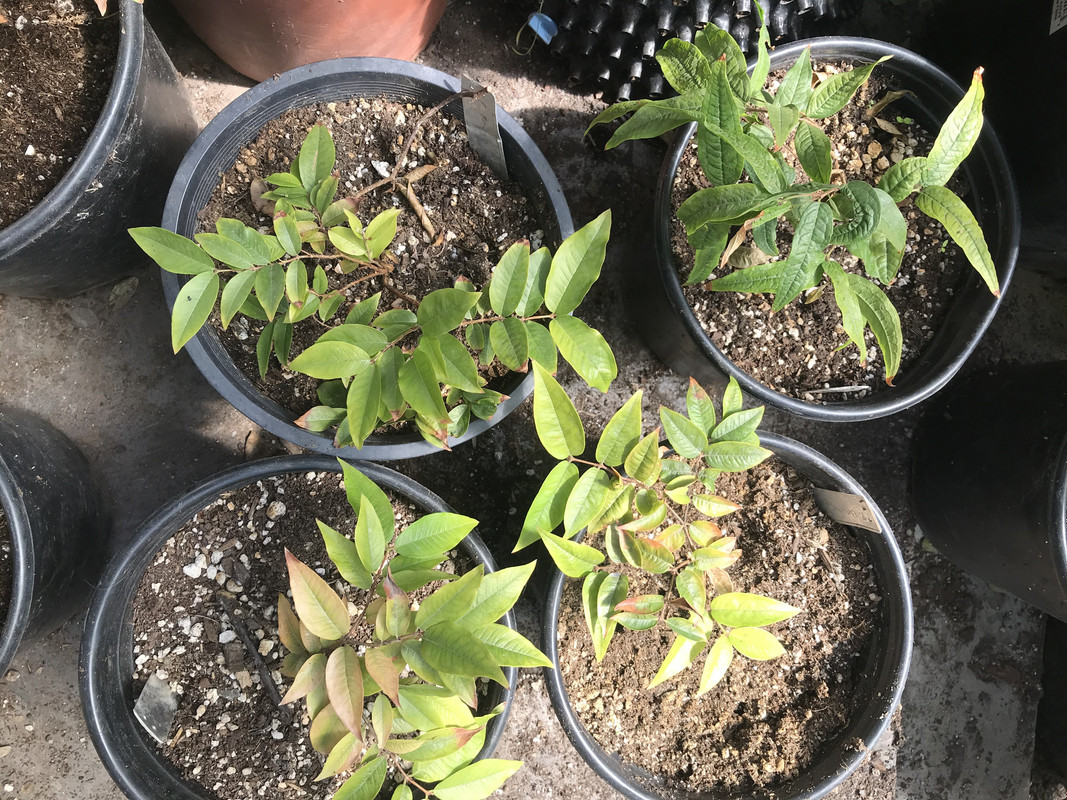 1C310F63-AD55-41CF-8139-7660DF21741A