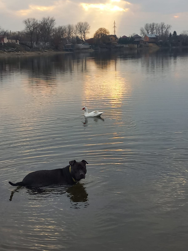 BB16A751-BEB7-419F-9369-CFF9CAED447D