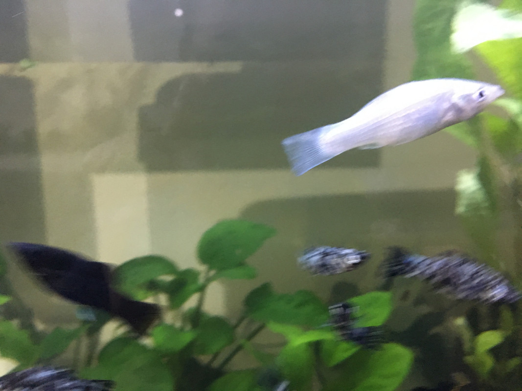 03EBB372-BE6E-48F1-8945-242AA0173EEA