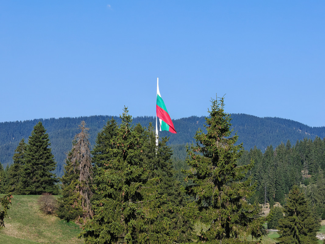 IMG_20240414_092402