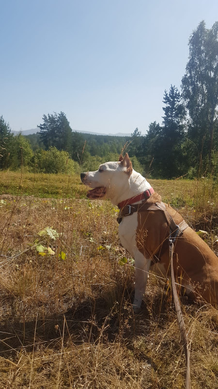 88079358-B487-4FD3-AAEA-27A337127833