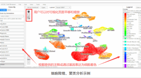 单细胞数据可视化工具-3.png