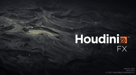 SideFX Houdini FX 18.5.672 (x64)