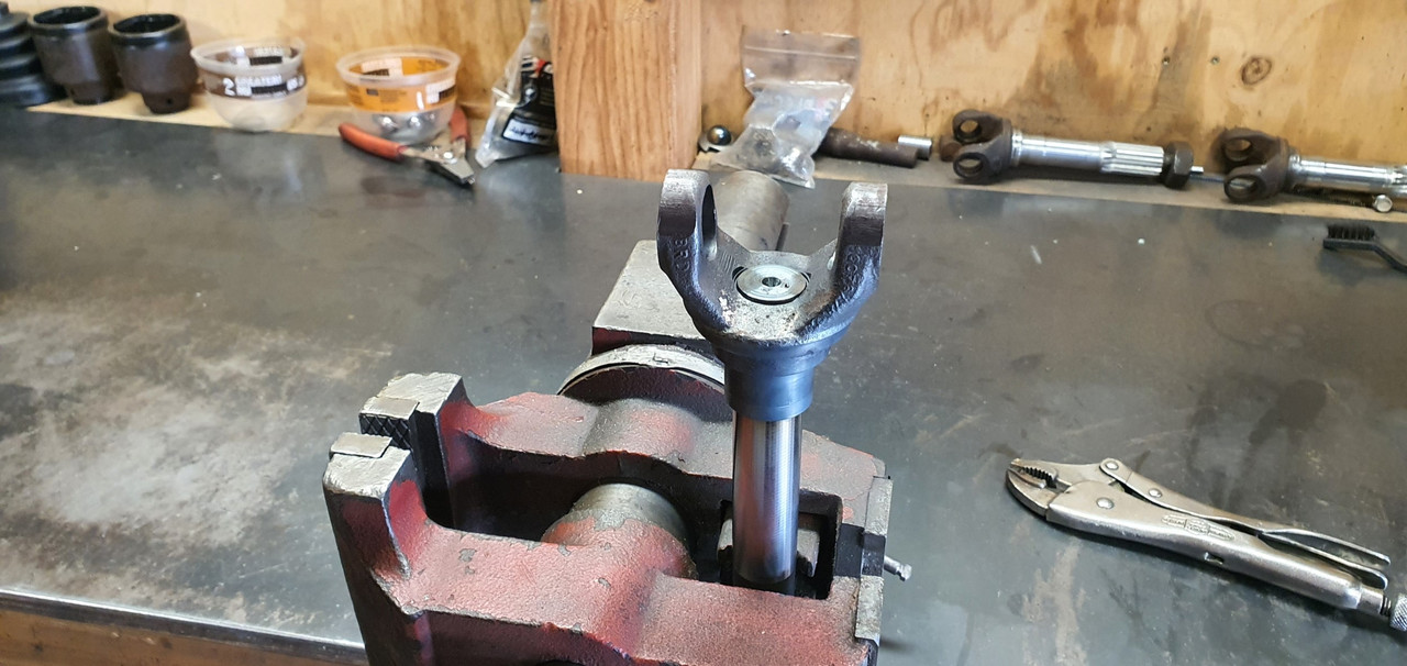 20240311_102354 (Custom)