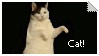 Kitty Cat Dance by gnu32(DeviantArt)