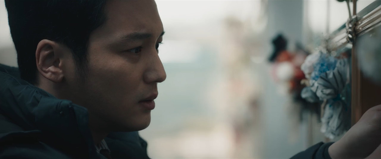 Following 2024 WebRip [Hindi + Korean] 480p 720p ESub Screenshot