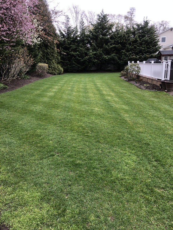 1018741B-04F3-4893-88A8-A59FA1D27D32