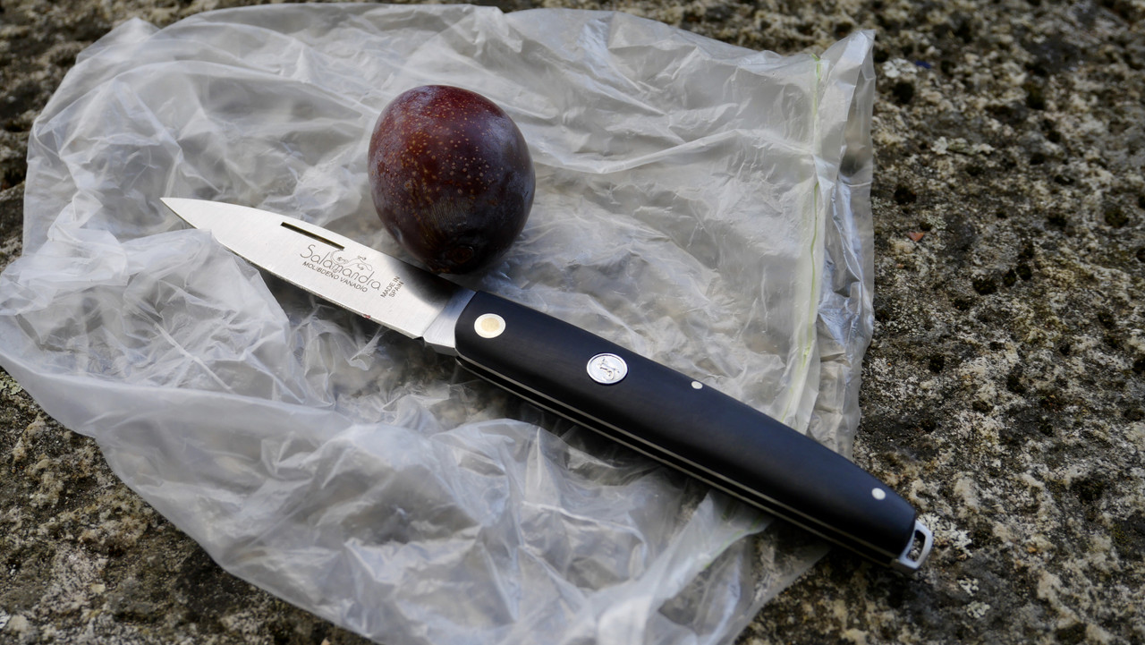 8176255E-8E03-412F-8618-4591D0F025D5