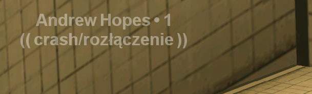 palm1.png