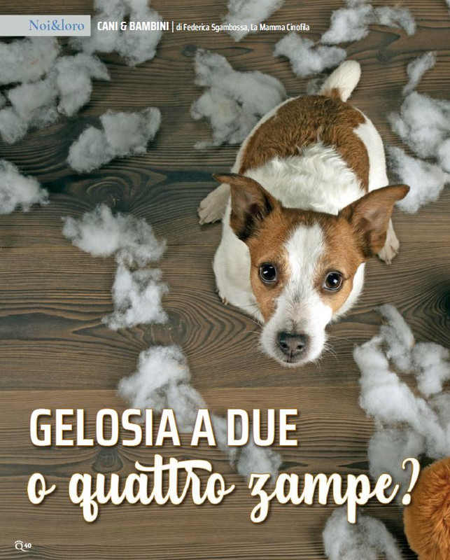 QuattroZampe Nov 2022 (1)