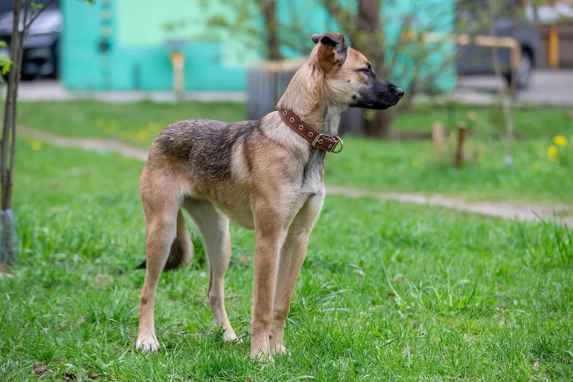 изображение_viber_2022-01-20_12-14-56-864