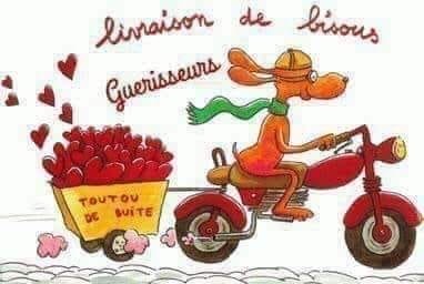 [Image: IMG-3854.jpg]