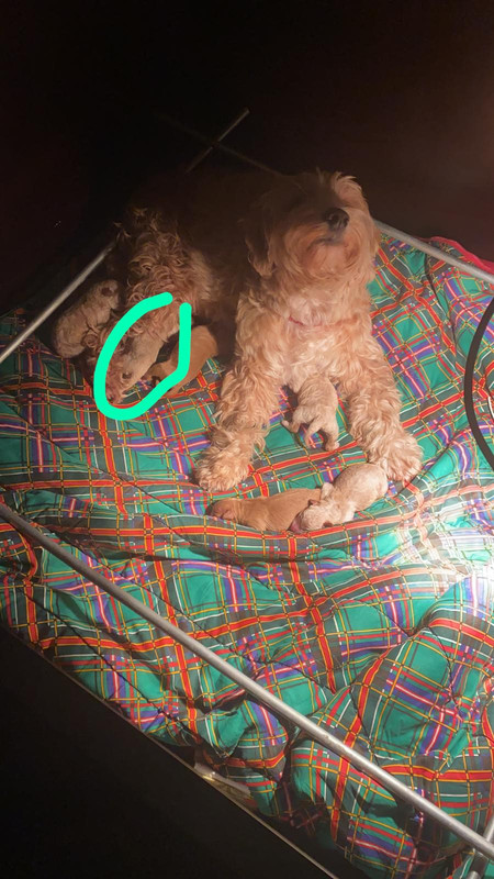 5185B814-91D0-48F4-8247-89AE7F8D695A