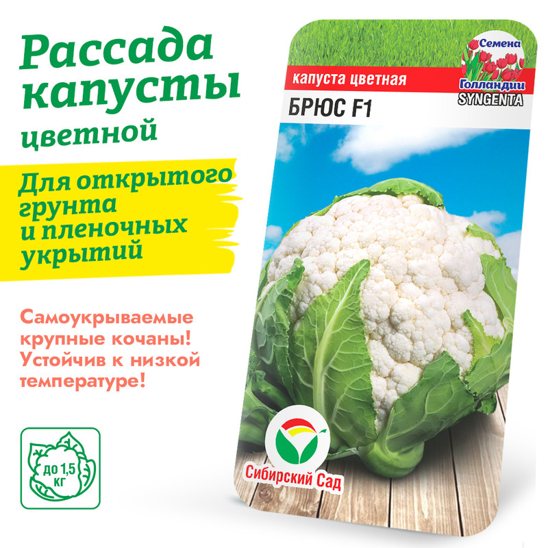 Капуста Цветная Брюс